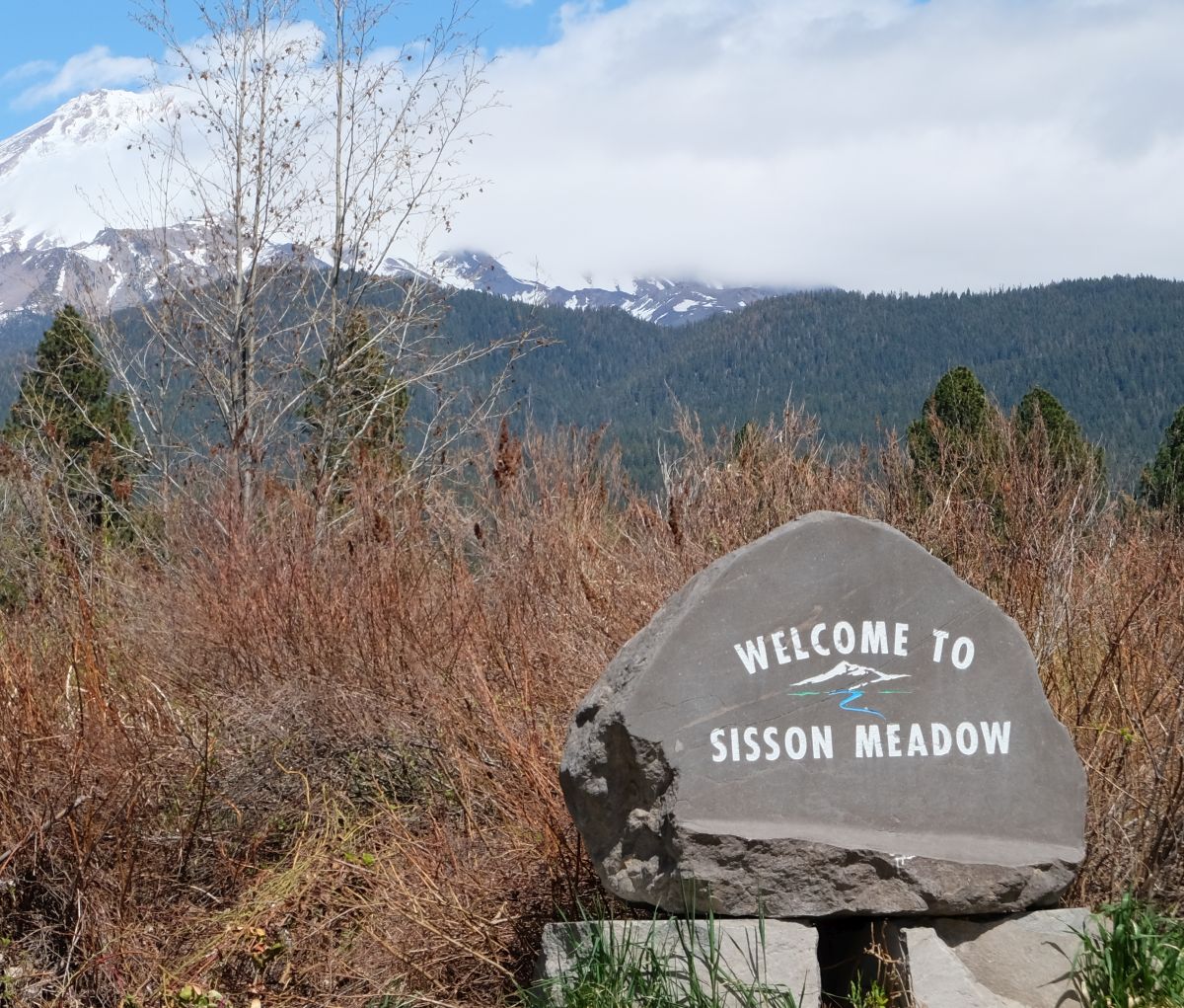 photo of metal art work