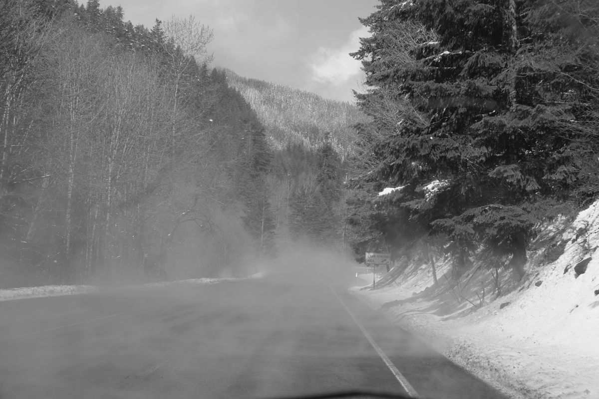 photo of metal art work