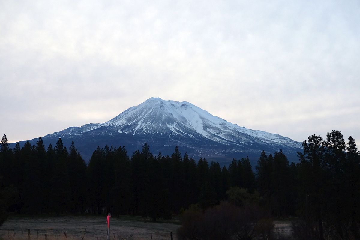 photo of metal art work