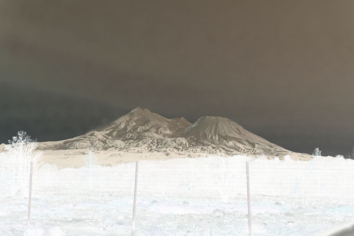 photo of metal art work