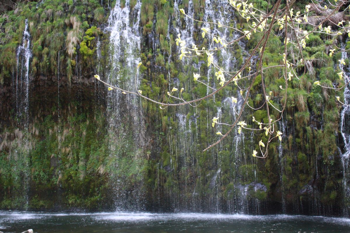 photo of metal art work